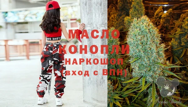 гашик Алексеевка