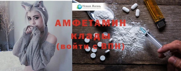 гашик Алексеевка